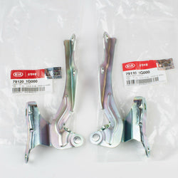 Genuine OEM Hyundai Kia Rio 06-11 Front Hood Hinge L&R 2PC SET 79110-1G000, 79120-1G000
