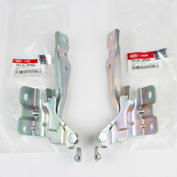 Genuine OEM Hyundai Kia Hood Hinge L & R for Sorento 2011-2013, 79110-2P000, 79120-2P000